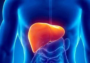 Liver Liver