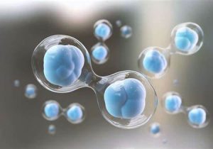 Cellular Regeneration Cellular Regeneration